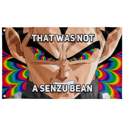 Angry anime rave flag with rainbow fractal burst, text reads not a senzu bean