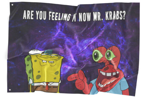 purple galaxy rave flag showing cartoon sponge character and wide eyed crab character close up