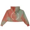 Back view of cropped hoodie with graphic text and split colors